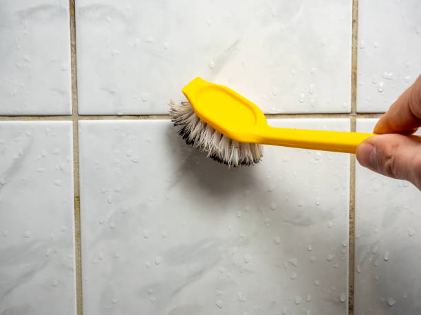 Best Mold Removal Near Me  in Keller, TX