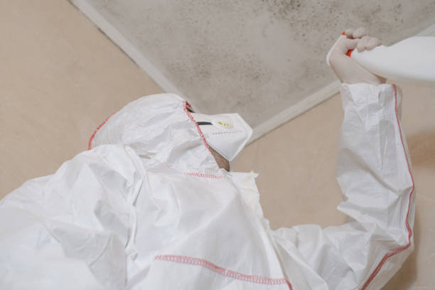 Best Professional Mold Removal  in Keller, TX