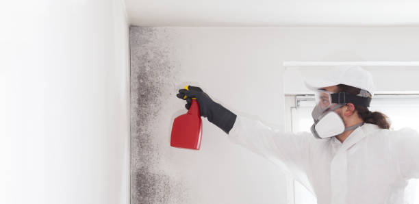 Best Mold Remediation  in Keller, TX